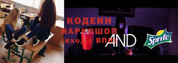 мдма Ельня