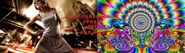 мдма Ельня